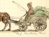 E255 Frère Eleuthère Boon (1821-1858) décédé accidentellement en chariot après trois ans de vie monastique
